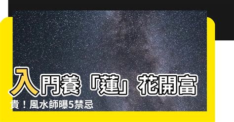 門口 養蓮花 風水|【門口 養蓮花 風水】入門養「蓮」花開富貴！風水師。